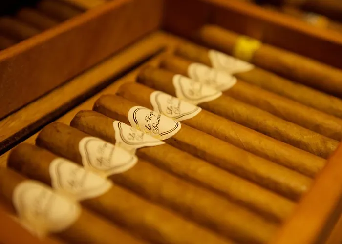 Neuhintertux 4 Sterne Superior Tux